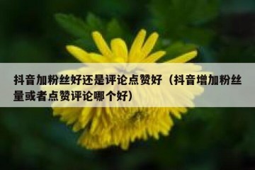 抖音加粉丝好还是评论点赞好（抖音增加粉丝量或者点赞评论哪个好）