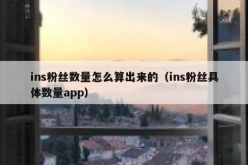 ins粉丝数量怎么算出来的（ins粉丝具体数量app）