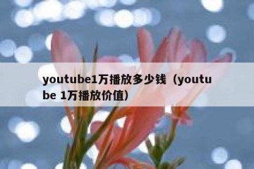 youtube1万播放多少钱（youtube 1万播放价值）
