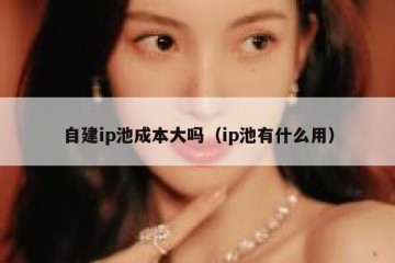 自建ip池成本大吗(ip池有什么用)