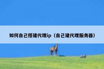 如何自己搭建代理ip（自己建代理服务器）