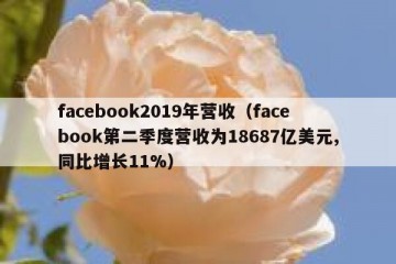 facebook2019年营收（facebook第二季度营收为18687亿美元,同比增长11%）