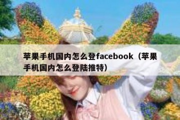 苹果手机国内怎么登facebook（苹果手机国内怎么登陆推特）
