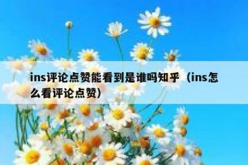 ins评论点赞能看到是谁吗知乎（ins怎么看评论点赞）