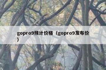 gopro9预计价格（gopro9发布价）