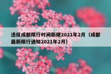 违反成都限行时间新规2021年2月（成都最新限行通知2021年2月）