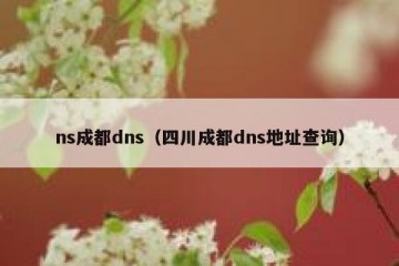 ns成都dns（四川成都dns地址查询）