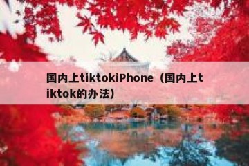 国内上tiktokiPhone（国内上tiktok的办法）