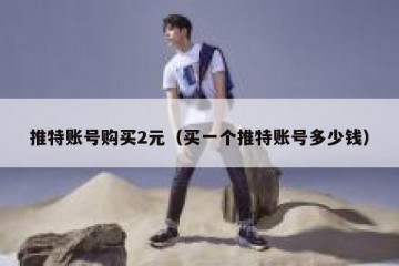 推特账号购买2元（买一个推特账号多少钱）