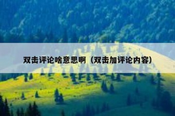 双击评论啥意思啊（双击加评论内容）