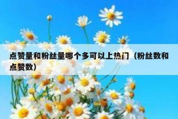 点赞量和粉丝量哪个多可以上热门（粉丝数和点赞数）