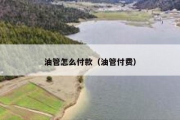 油管怎么付款（油管付费）