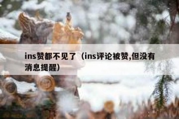 ins赞都不见了（ins评论被赞,但没有消息提醒）