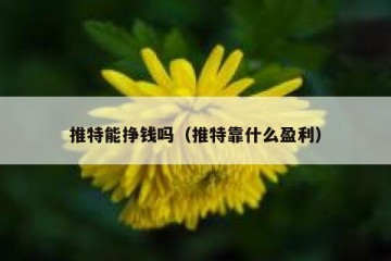 推特能挣钱吗（推特靠什么盈利）