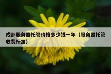 成都服务器托管价格多少钱一年（服务器托管收费标准）