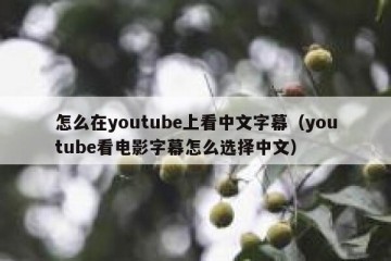 怎么在youtube上看中文字幕（youtube看电影字幕怎么选择中文）