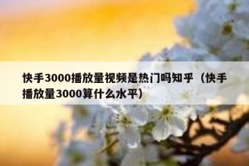 快手3000播放量视频是热门吗知乎（快手播放量3000算什么水平）