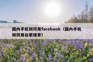 国内手机如何用facebook（国内手机如何用谷歌搜索）