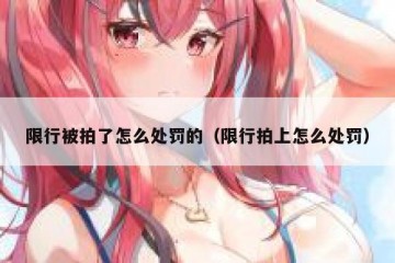 限行被拍了怎么处罚的（限行拍上怎么处罚）