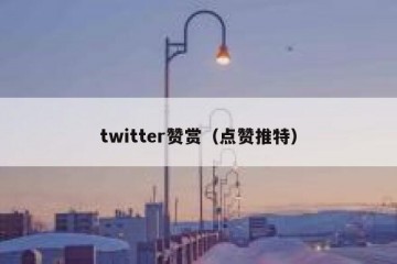 twitter赞赏（点赞推特）