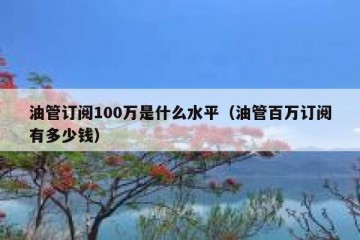 油管订阅100万是什么水平（油管百万订阅有多少钱）