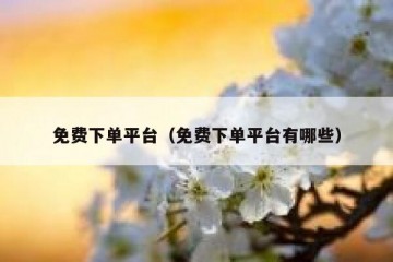 免费下单平台（免费下单平台有哪些）