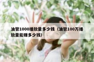 油管1000播放量多少钱（油管100万播放量能赚多少钱）