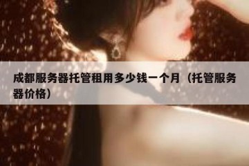 成都服务器托管租用多少钱一个月（托管服务器价格）
