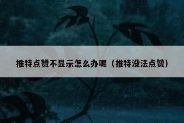 推特点赞不显示怎么办呢（推特没法点赞）