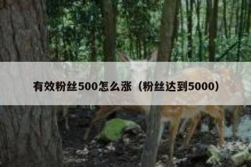 有效粉丝500怎么涨（粉丝达到5000）