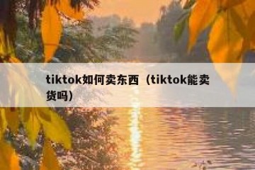 tiktok如何卖东西（tiktok能卖货吗）