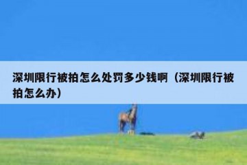 深圳限行被拍怎么处罚多少钱啊（深圳限行被拍怎么办）