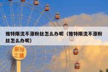 推特限流不涨粉丝怎么办呢（推特限流不涨粉丝怎么办呢）