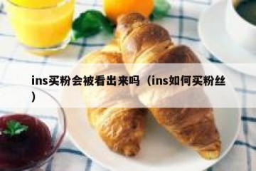 ins买粉会被看出来吗（ins如何买粉丝）