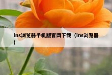 ins浏览器手机版官网下载（ins浏览器）