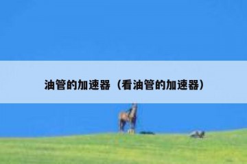 油管的加速器（看油管的加速器）