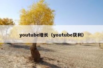 youtube增长（youtube获利）