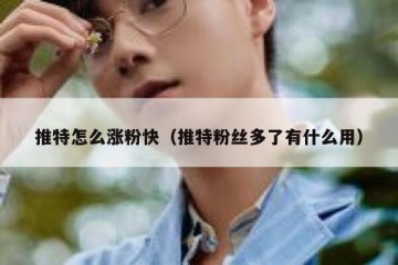 推特怎么涨粉快（推特粉丝多了有什么用）