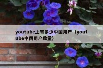 youtube上有多少中国用户（youtube中国用户数量）