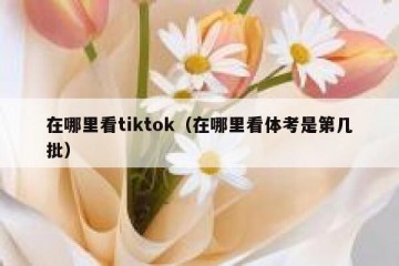 在哪里看tiktok（在哪里看体考是第几批）
