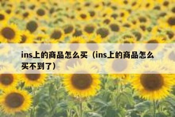 ins上的商品怎么买（ins上的商品怎么买不到了）