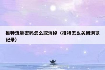 推特流量密码怎么取消掉（推特怎么关闭浏览记录）