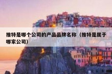 推特是哪个公司的产品品牌名称（推特是属于哪家公司）