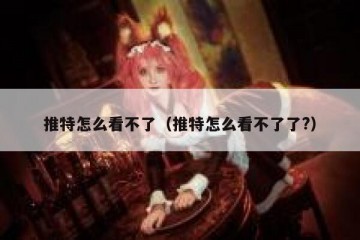 推特怎么看不了（推特怎么看不了了?）