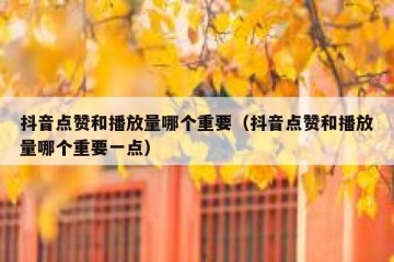 抖音点赞和播放量哪个重要（抖音点赞和播放量哪个重要一点）
