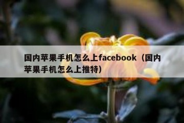 国内苹果手机怎么上facebook（国内苹果手机怎么上推特）