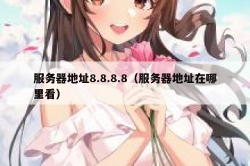 服务器地址8.8.8.8（服务器地址在哪里看）