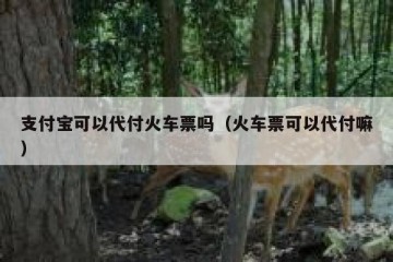支付宝可以代付火车票吗（火车票可以代付嘛）