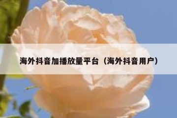 海外抖音加播放量平台（海外抖音用户）