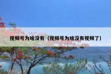 视频号为啥没有（视频号为啥没有视频了）